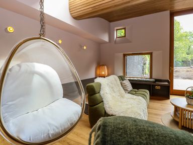 A living room with a hanging egg chair and green sofa with a white throw at Oak Cottage in Somerleyton
