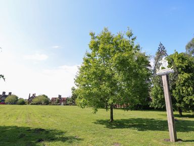 A green open field with a tree and a Somerleyton sign near houses in Somerleyton