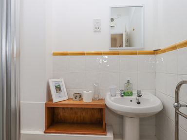 A bathroom sink with soap and a cup next to a wooden shelf with a framed picture a candle holder and toilet paper at Crystals in Hatherleigh