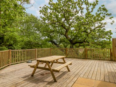A wooden picnic table on a wooden deck with a railing surrounded by trees at Crystals in Hatherleigh