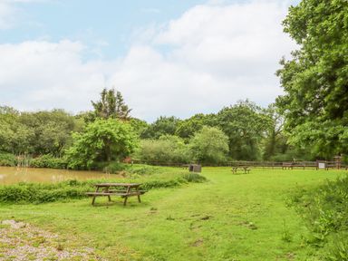 A grassy area with picnic tables next to a pond surrounded by trees at Crystals in Hatherleigh