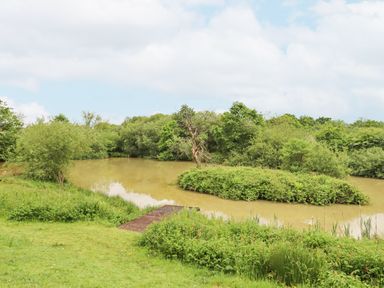 A pond with an island and surrounding trees and bushes at Crystals in Hatherleigh