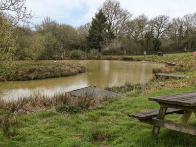 A pond with small wooden docks and a wooden picnic table on grassy land surrounded by trees at Crystals in Hatherleigh