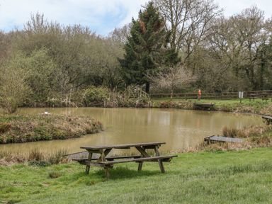 A wooden picnic table on grass near a pond with trees and a wooden fence in the background at Crystals in Hatherleigh