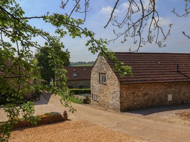Stone buildings with red tiled roofs along a gravel path framed by tree branches at Butterton Cottage Combe Raleigh near Honiton