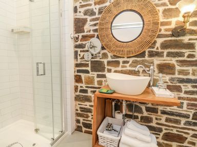 A bathroom with a shower and sink at Burlodge Swimbridge near Barnstaple