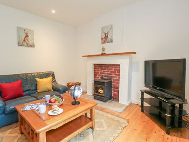 A living room with a blue leather sofa with red and yellow cushions a wooden coffee table with fruit and cups a globe a fireplace with a fire and a television on a stand at Coldharbour Farm Bungalow Annexe Coldharbour near Wareham