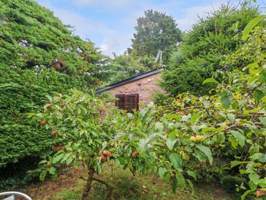 A garden with an apple tree and evergreen trees near a brick building at Coldharbour Farm Bungalow Annexe Coldharbour near Wareham