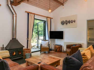 A living room with a stove and television at Burrows in Venn Ottery near Sidmouth