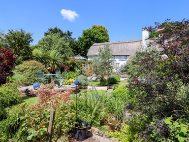 A garden with various plants trees and outdoor seating at Sunset Cottage in Swimbridge near Barnstaple