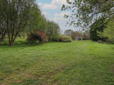 A green grassy field with trees and bushes and a small building in the background at Burr 1 Shepherds Hut in Barnstaple