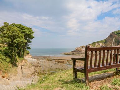 A wooden bench overlooking a beach with rocky cliffs and trees at Burr 1 Shepherds Hut in Barnstaple
