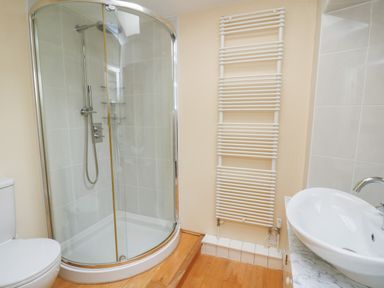 A bathroom with a corner shower enclosure toilet sink and a wall-mounted radiator at Pen y Graig in Aberporth