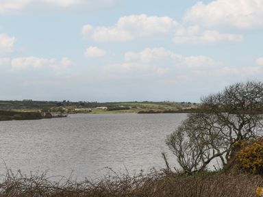 A view of a lake with trees on the shore and fields in the distance at Cuckoo's Rest in Penryn
