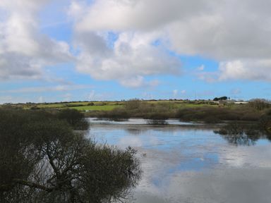 A flooded rural landscape with trees submerged in water and fields in the background at Cuckoo's Rest in Penryn