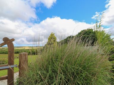 A garden gate with tall grasses and trees in the background at Cuckoo's Rest in Penryn