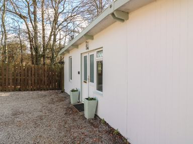 The exterior entrance of a white building with two windows a door two tall planters and a wooden fence behind trees at Caldwell Cottage in Lanark