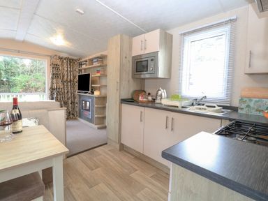 A kitchen with a stove microwave and sink next to a living area with a TV and fireplace at No 3 Foxburrow Hang in Belton