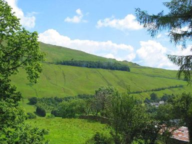 A green hillside with trees and a few buildings under a blue sky at The Cosy Peacock in Troutbeck
