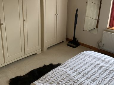 A bedroom with a wardrobe and a vacuum cleaner at Woods Cottage Usk