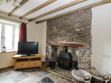 A living room with a television and a fireplace at Woods Cottage in Kingcoed near Raglan