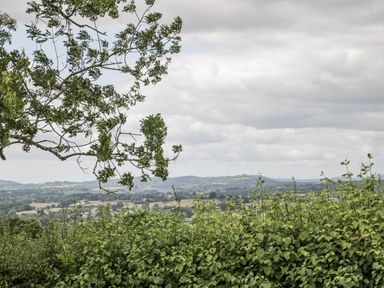 A view of hills and clouds with trees in Woods Cottage Kingcoed near Raglan