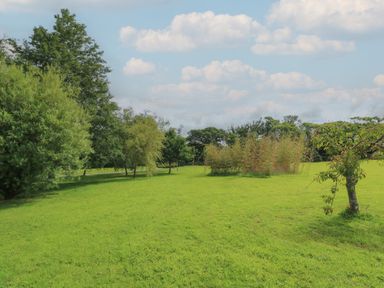 A grassy field with various trees and shrubs under a partly cloudy sky at The Stables in Ruthvoes near St Columb Major