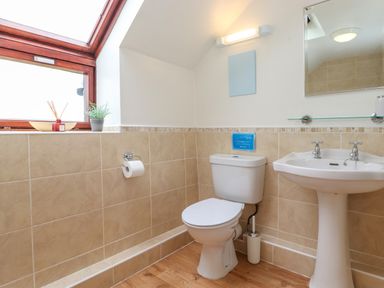A bathroom with a toilet sink mirror window and potted plant at Addyfield Farmhouse in Cartmel Fell near Bowland Bridge