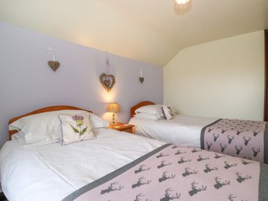 A bedroom with two single beds side by side with white bedding and cushions with floral designs at Addylea Cottage in Cartmel Fell near Windermere