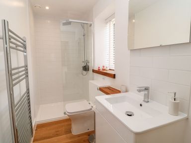 A bathroom with a walk-in shower toilet sink and heated towel rail at Pear Tree Cottage in St Mellion near St Dominick