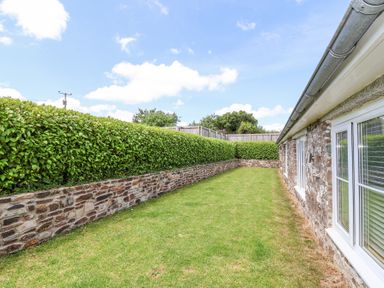 A narrow garden with grass lawn beside a stone house and a trimmed hedge at Old Orchard Barn St Mellion near St Dominick