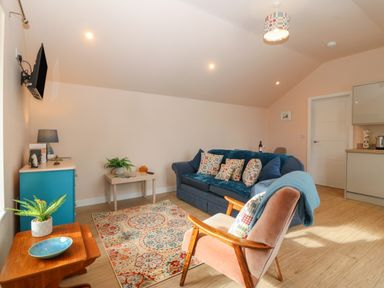 A living room with a patterned rug a blue sofa with cushions a wooden armchair a small table with a plant and a blue cabinet at Y Felin in Caernarfon