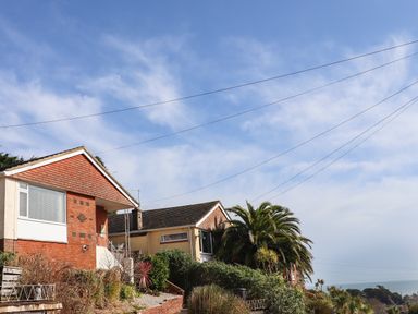 A row of houses with gardens and palm trees under a blue sky at Sandy Toes in Paignton