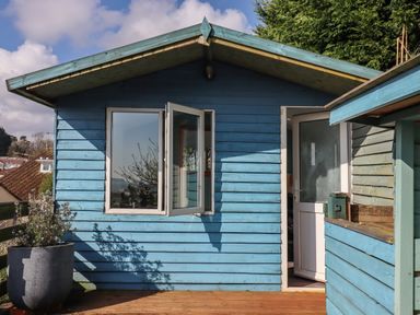 A blue wooden garden shed with an open window and door on a wooden deck with a large plant pot at Sandy Toes in Paignton