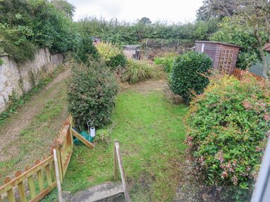 A garden with grass bushes a wooden fence and a shed at Half Pint Cottage in Beaminster