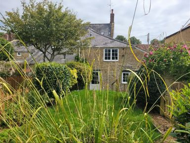 A garden with tall grass shrubs and a stone house with white windows in the background at Half Pint Cottage in Beaminster
