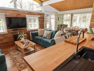 An open living space with a blue sofa cushions a coffee table a television mounted on a wooden wall and a dining table with chairs near large windows at The Bird House in Cenarth