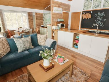 An open living room and kitchen area with a blue sofa and coffee table with flowers and food items at The Bird House in Cenarth