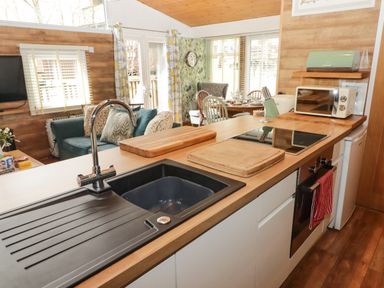 A kitchen counter with a sink stove chopping boards and a microwave overlooking a living area with a sofa and dining table at The Bird House in Cenarth