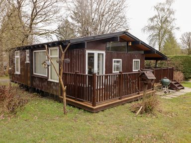 A wooden house with a small fenced porch surrounded by grass and trees at The Bird House in Cenarth