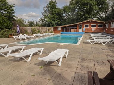 An outdoor swimming pool with white lounge chairs around and wooden buildings in the background at The Bird House in Cenarth