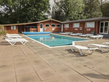 An outdoor swimming pool with white lounge chairs around it and wooden buildings in the background at The Bird House in Cenarth