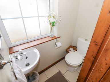 A small bathroom with a white toilet a sink a towel ring with a towel a trash bin a window with a wooden sill and a glass vase with flowers at Bofin in Oughterard County Galway
