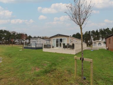 A grassy area with several modern mobile homes and small trees at Whispering Willows in Cayton Bay