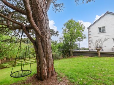 A backyard with a large tree holding a round swing and a white house in the background at The Manor House Skerry Vore Bryn Pydew near Llandudno Junction