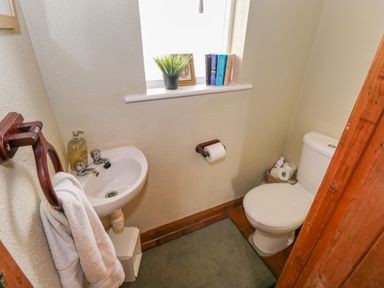 A small bathroom with a toilet sink towel holder soap dispenser and a window with books and a plant at Aggrafard in Oughterard County Galway