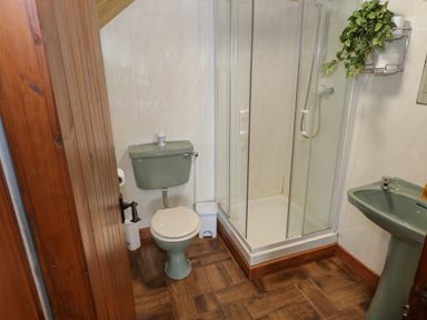 A bathroom with a green toilet and sink and a corner shower at Corrib Near Oughterard County Galway