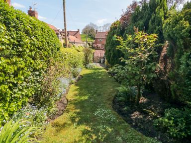 A garden path with grass bordered by hedges and plants leading to houses at Tillers Cottage in Ebberston
