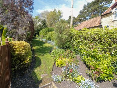 A garden path with various shrubs and plants next to a house at Tillers Cottage in Ebberston