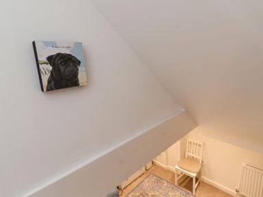 A corner of a room with a chair and a framed picture of a dog on the wall at 16 Church Street in Lyme Regis